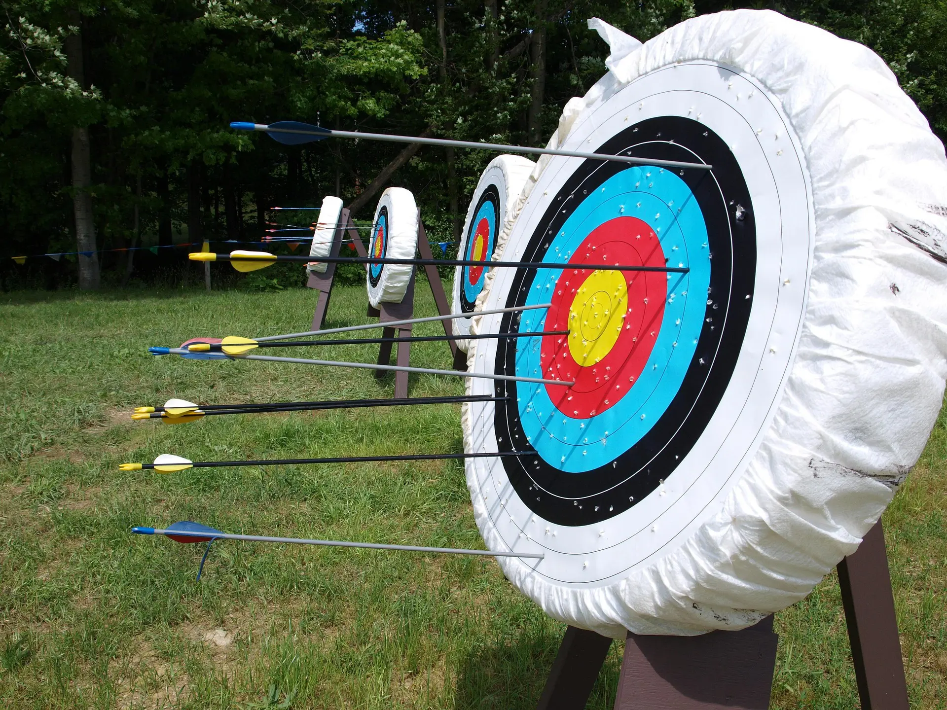 archeryvic-arrows-in-targets